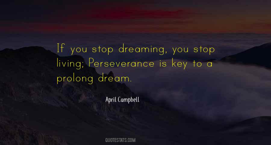 Perseverance Is The Key Quotes #1568226