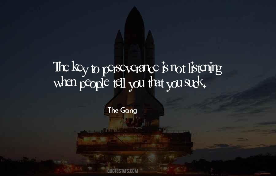 Perseverance Is The Key Quotes #543107