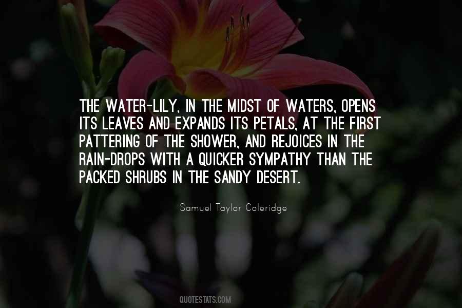 Rain Water Quotes #1012078