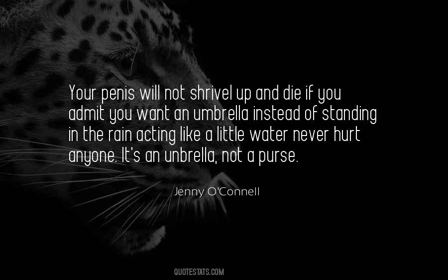 Rain Water Quotes #1024096