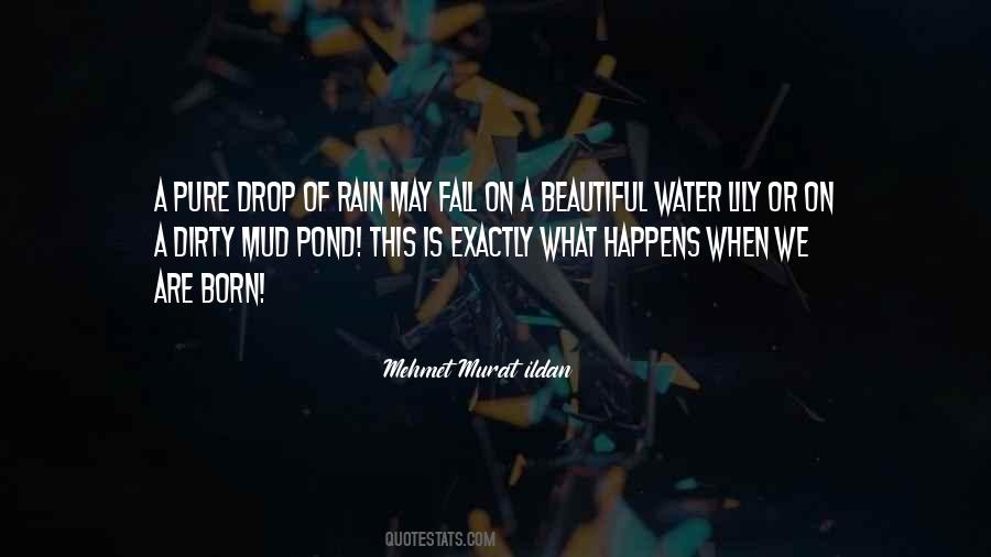 Rain Water Quotes #1106192