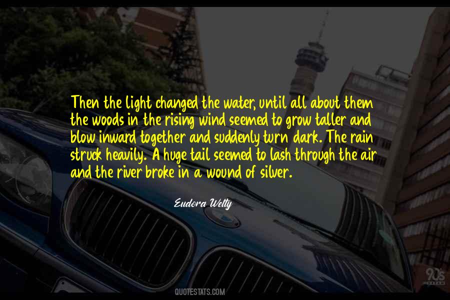 Rain Water Quotes #1175095