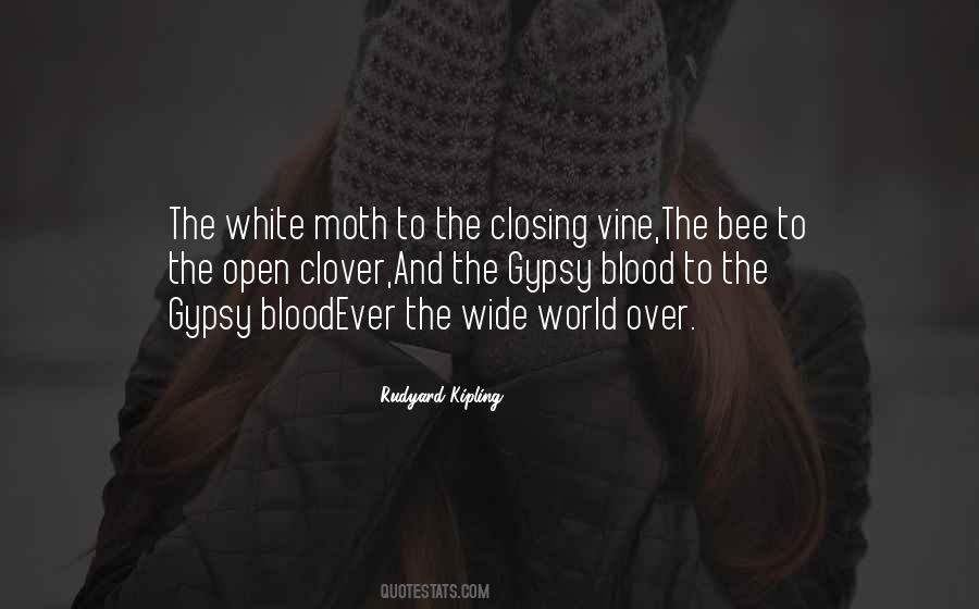 Quotes About Moth #1069094