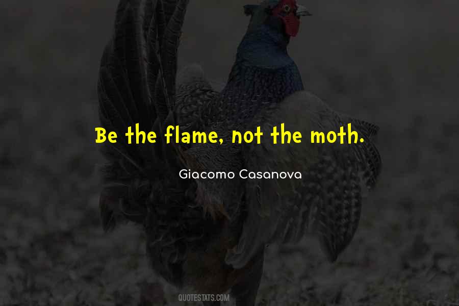 Quotes About Moth #238275