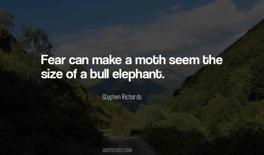 Quotes About Moth #743758