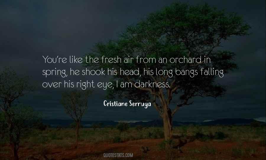 Spring Air Quotes #1402463