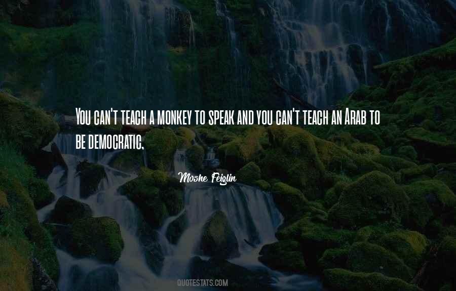 Quotes About Moshe #913190
