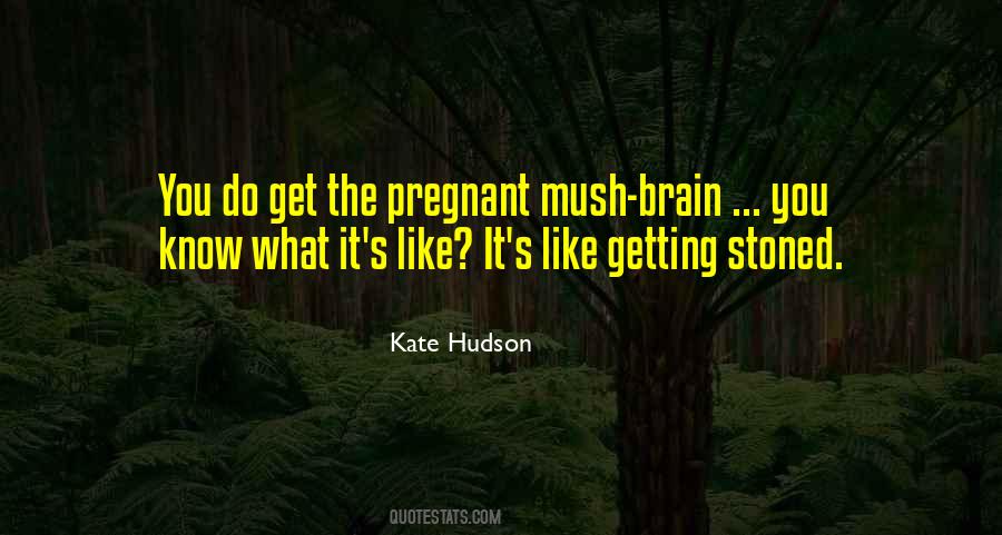 Get Stoned Quotes #590842