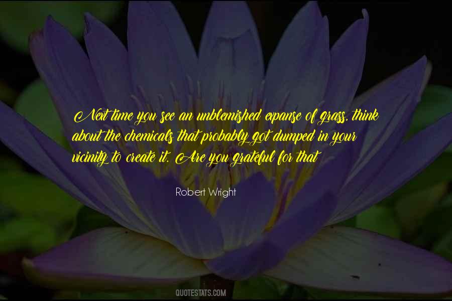 Are You Grateful Quotes #195994