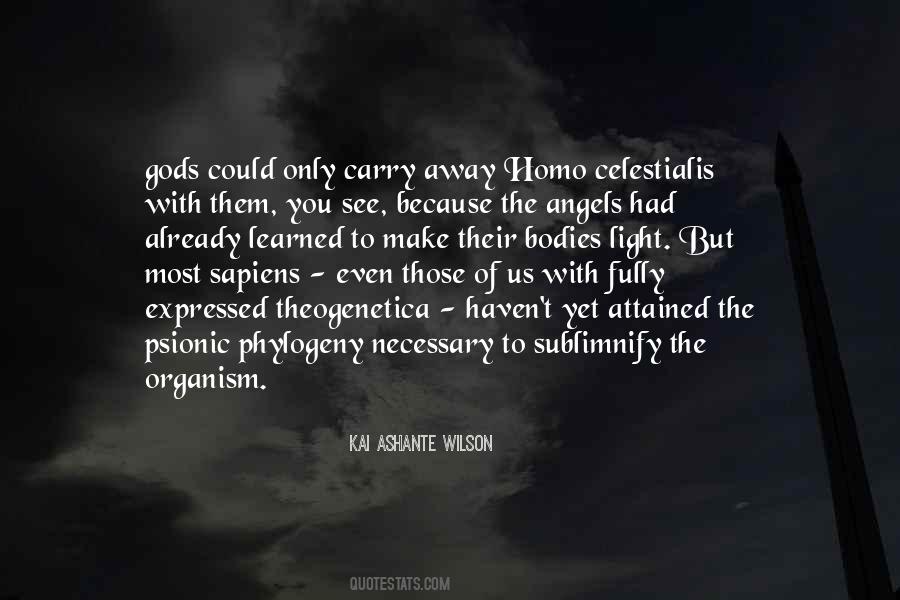 Morandi Angels Quotes #1513253
