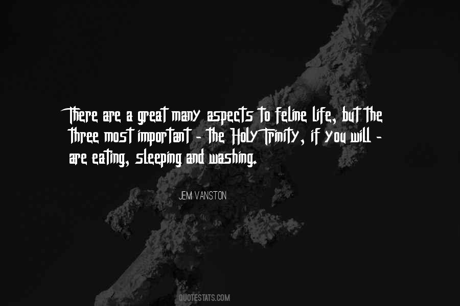 Are You Sleeping Quotes #1343068