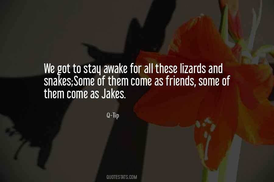 Are You Still Awake Quotes #112401