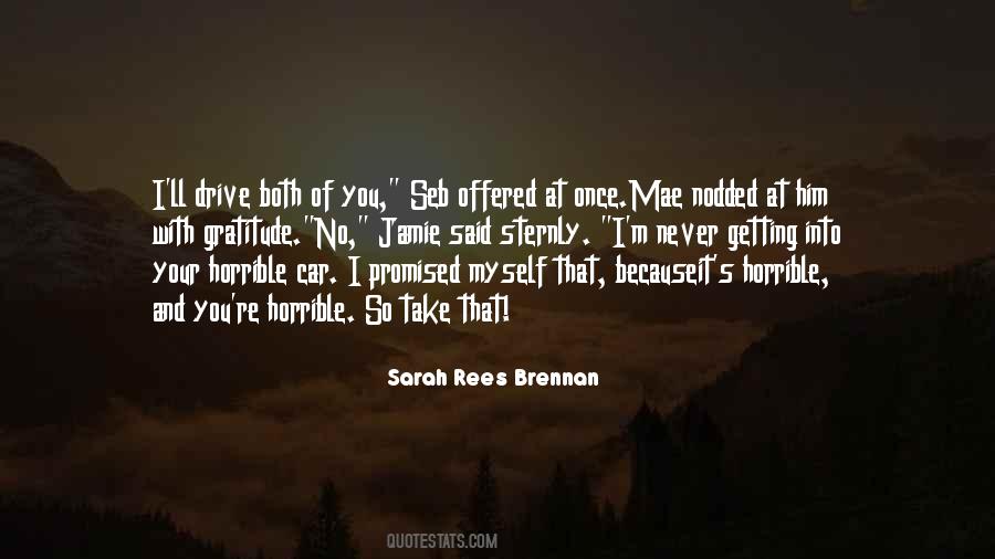 Sarah Rees Quotes #413919