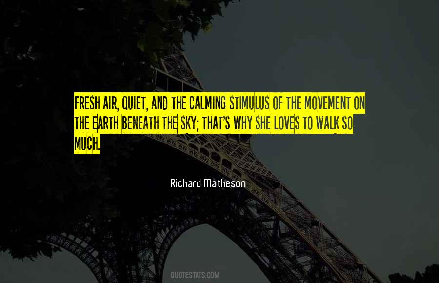 Beneath The Sky Quotes #1500938