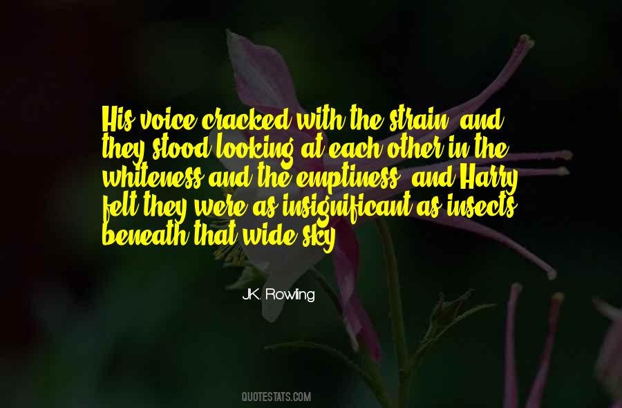 Beneath The Sky Quotes #1857342