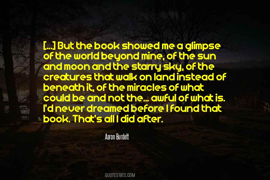 Beneath The Sky Quotes #218498