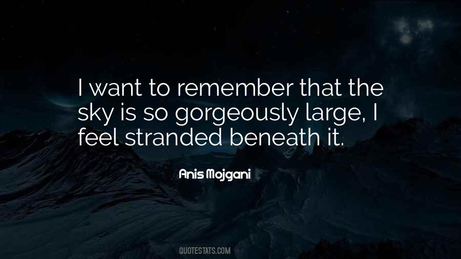 Beneath The Sky Quotes #32115