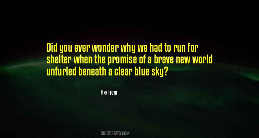 Beneath The Sky Quotes #388154