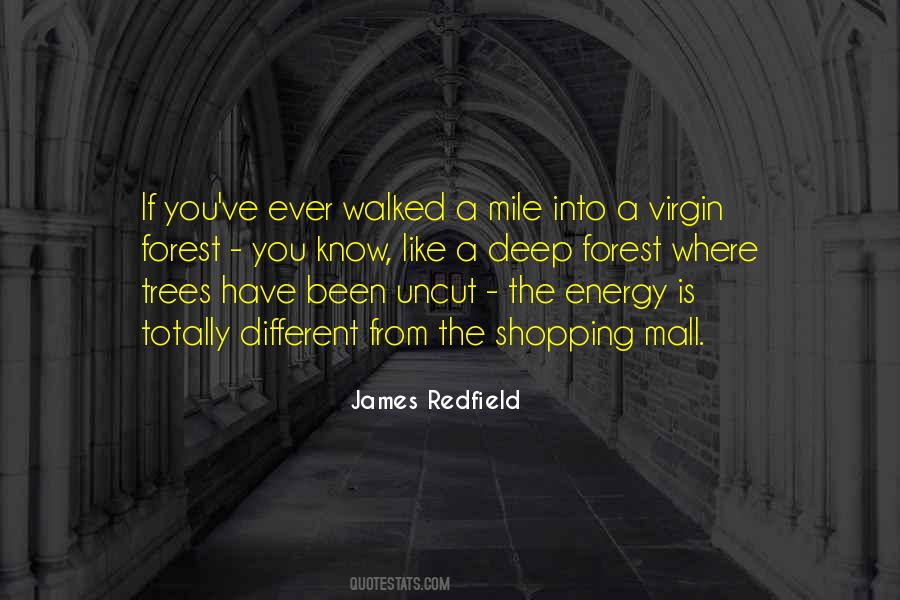 Is Shopping Quotes #587118