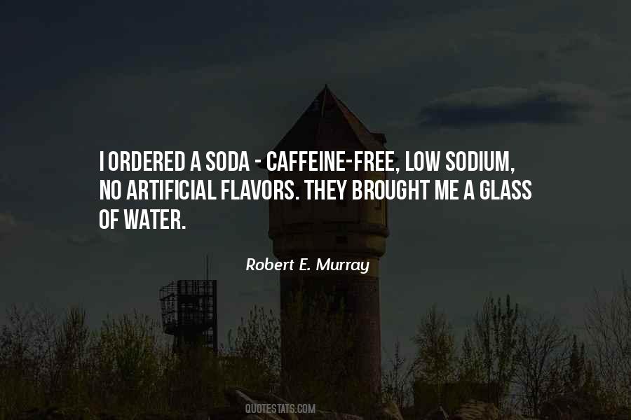 Renaissance Soul Quotes #1623561