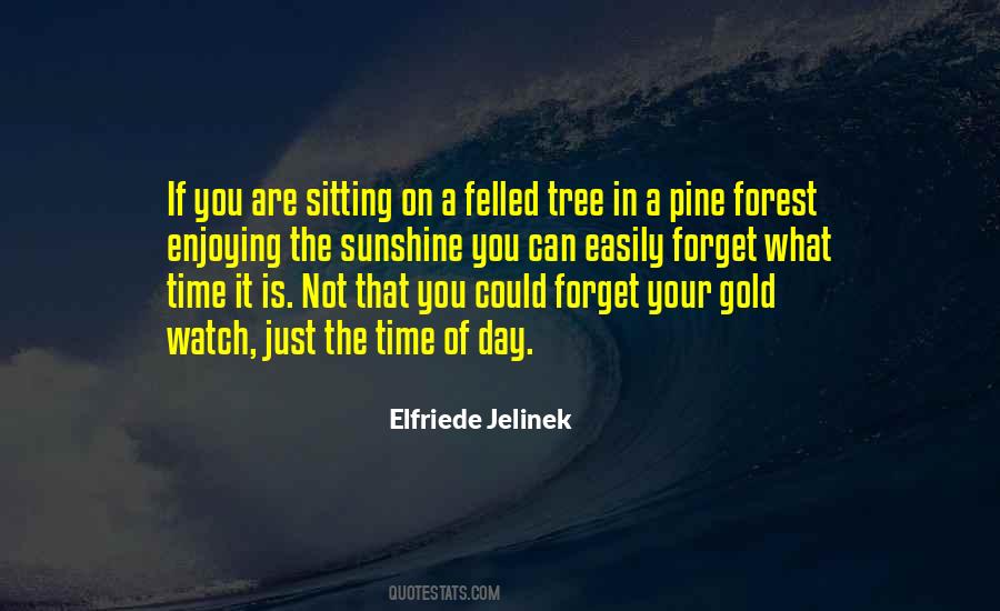 Time Of Day Quotes #1494551