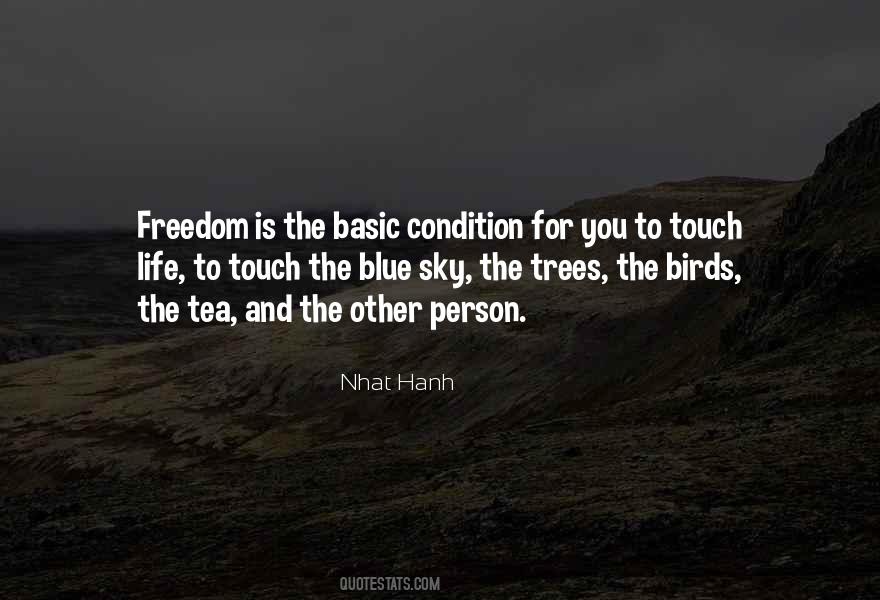 Birds Freedom Quotes #1341173