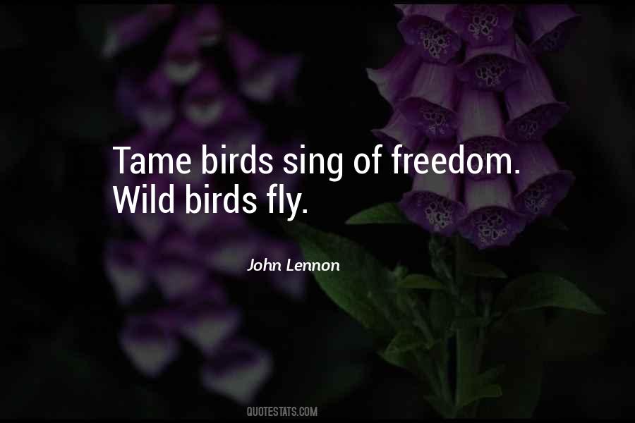 Birds Freedom Quotes #459701
