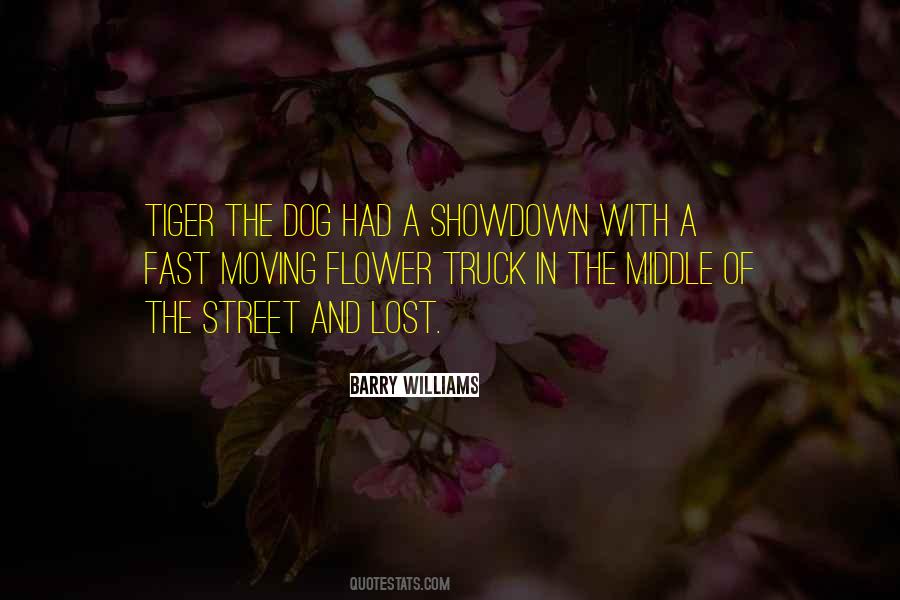 A Lost Dog Quotes #427301