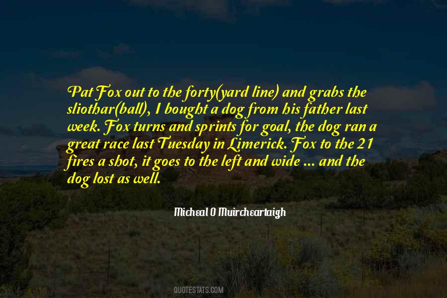 A Lost Dog Quotes #479597