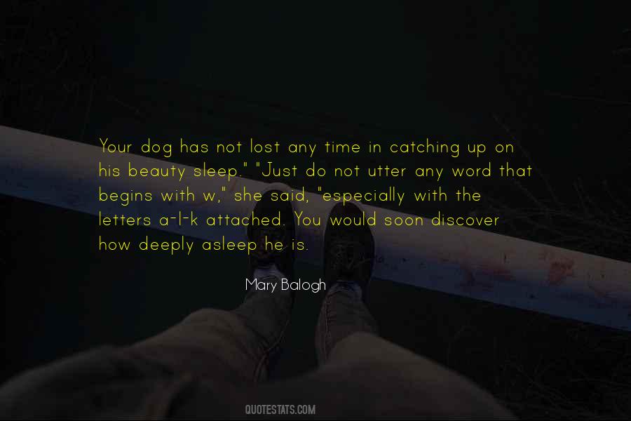 A Lost Dog Quotes #815185