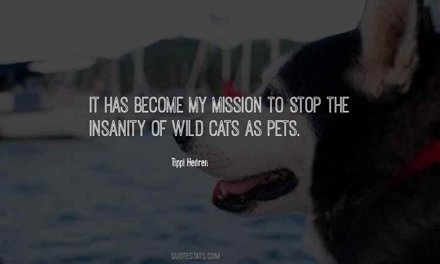 Cats The Quotes #57523