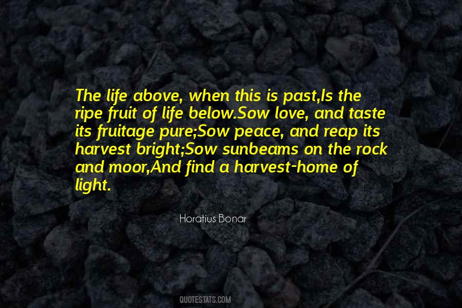 Quotes About Moor #700937