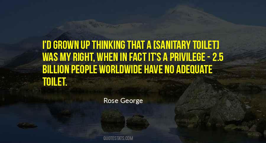 I Have Grown Quotes #10974