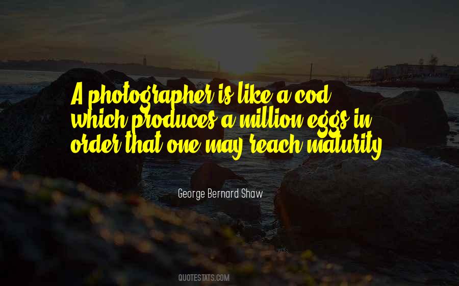 Art In Photography Quotes #770221