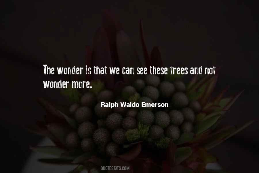See The Wonder Quotes #547071