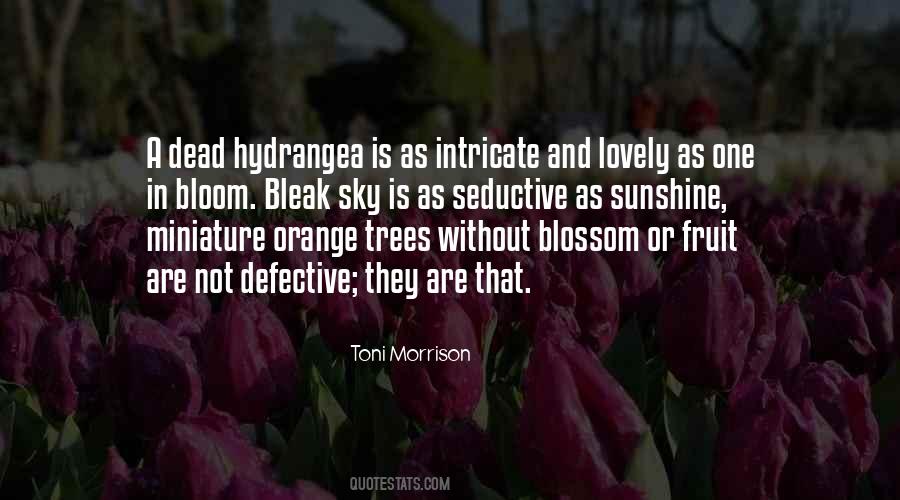 Fruit Blossom Quotes #170277