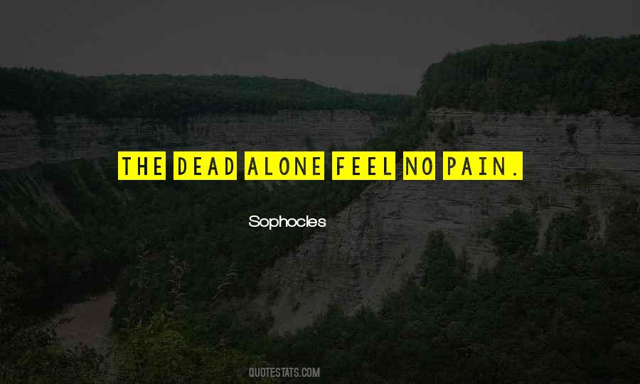 Feel No Pain Quotes #944623