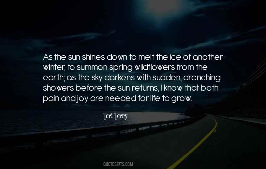 As The Sun Shines Quotes #995093