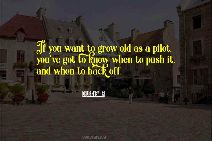 As You Grow Old Quotes #1139544