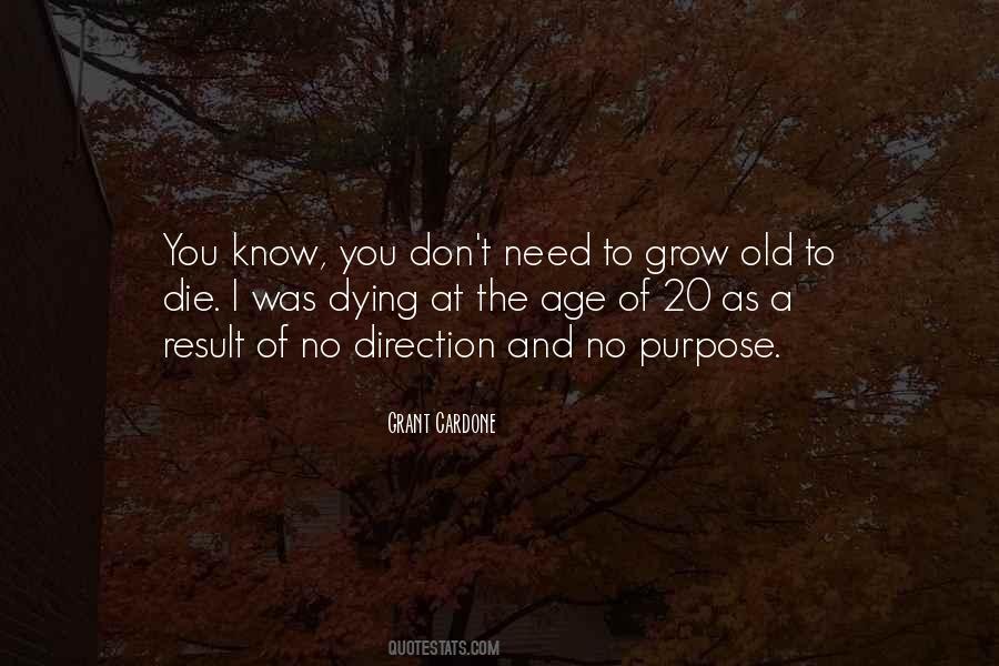 As You Grow Old Quotes #1875747