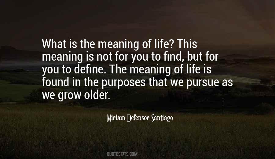 As You Grow Older Quotes #1563439