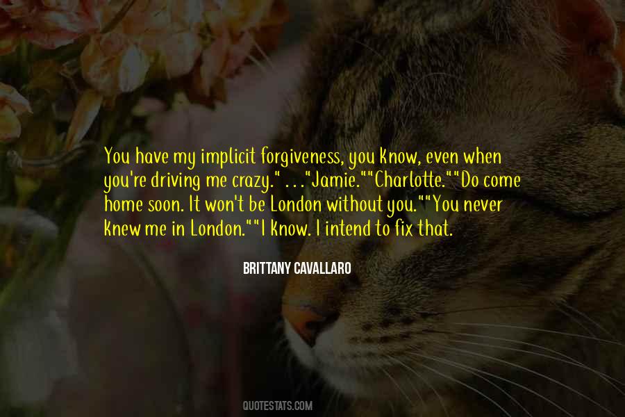 Forgiveness You Quotes #122747