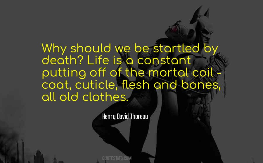 Mortal Life Quotes #131162