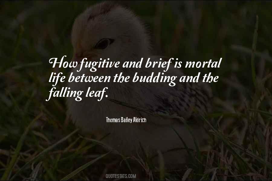 Mortal Life Quotes #596119