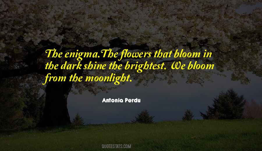 Flowers Bloom Quotes #672632