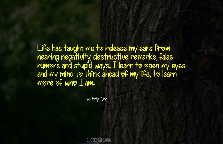 Lessons Learn Quotes #176797