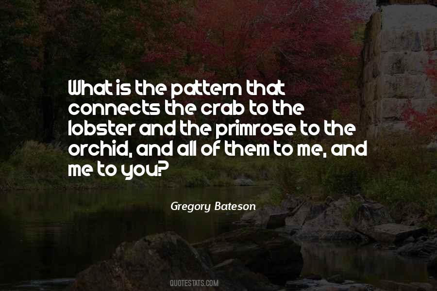 Pattern What Is Quotes #1628354