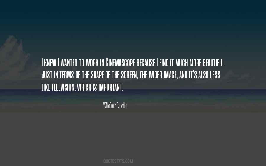 Beautiful Shape Quotes #342534