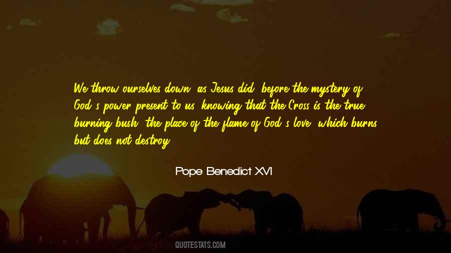 Catholic Pope Quotes #974896