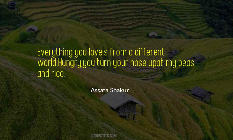 Assata Quotes #104477